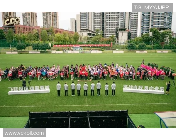 飞盘竞技的魅力与挑战成都飞盘队速度提升的探索与思考 飞盘竞技的魅力与挑战成都飞盘队速度提升的探索与思考