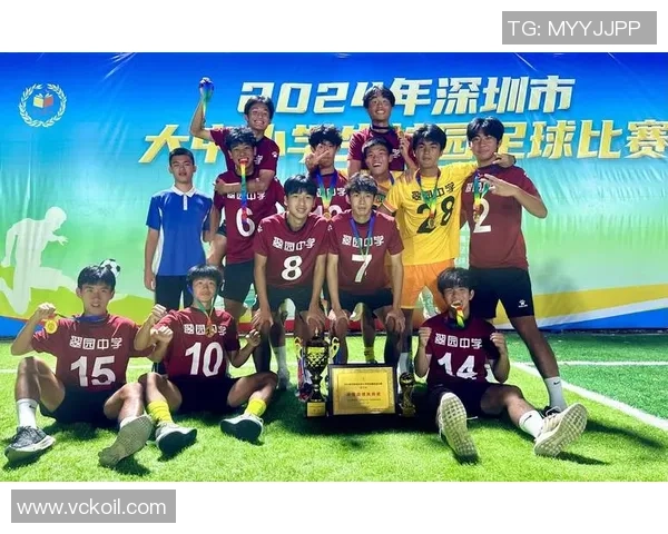 深圳足球队战术转型的成败分析与未来展望