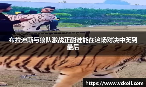布拉迪斯与狼队激战正酣谁能在这场对决中笑到最后